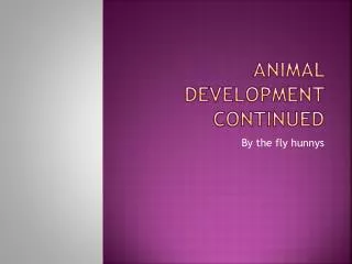 Animal Development continued