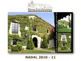 nadal 2010 11