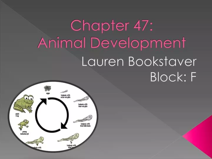 chapter 47 animal development