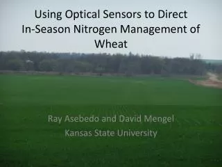 Using Optical Sensors to Direct In-Season Nitrogen Management of Wheat