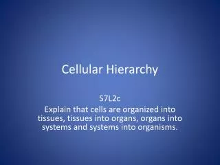 Cellular Hierarchy