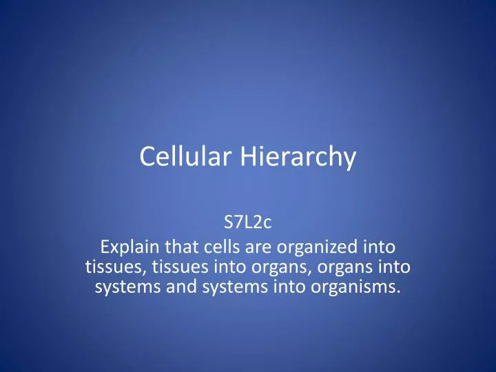cellular hierarchy