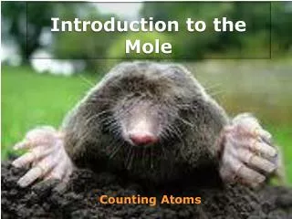 Introduction to the Mole