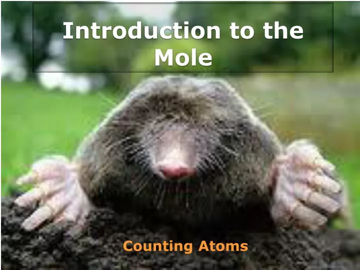 introduction to the mole