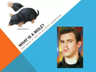 What is a Mole?