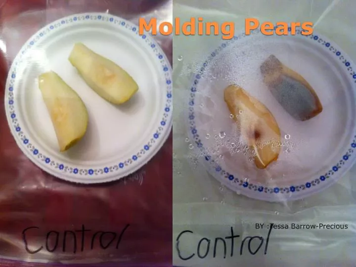 molding pears
