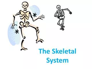 The Skeletal System