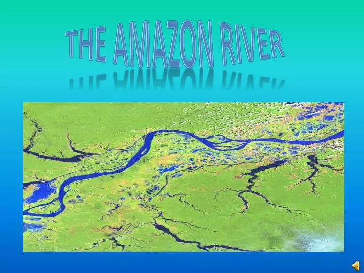 PPT - The AmazoN River PowerPoint Presentation, free download - ID:2370151