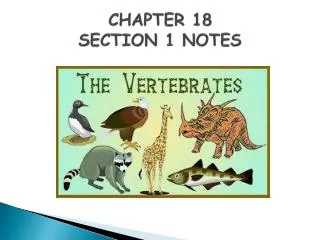 CHAPTER 18 SECTION 1 NOTES