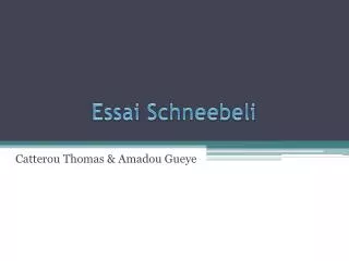 essai schneebeli