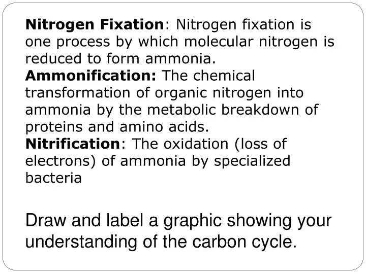 Draw a labelled diagram of nitrogen cycle in the environment - Science -  The Fundamental Unit of Life - 14405475 | Meritnation.com