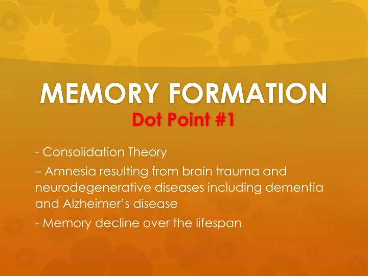 memory formation dot point 1