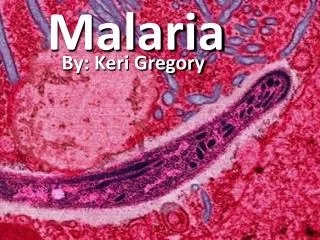 Malaria