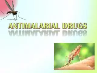 ANTIMALARIAL DRUGS