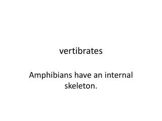 vertibrates