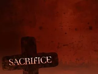 Understanding the Stewardship of Sacrifice