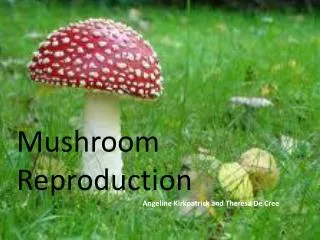 Mushroom Reproduction Angeline Kirkpatrick and Theresa De Cree