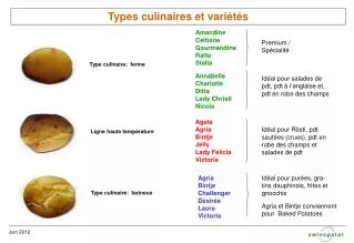 Types culinaires et variétés