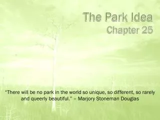 The Park Idea Chapter 25