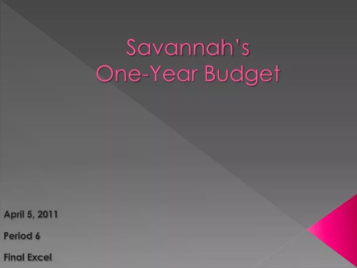 savannah s one year budget