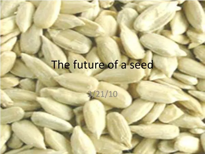 the future of a seed