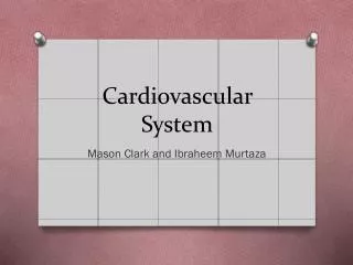 Cardiovascular System