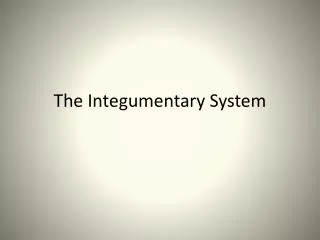 The I ntegumentary System