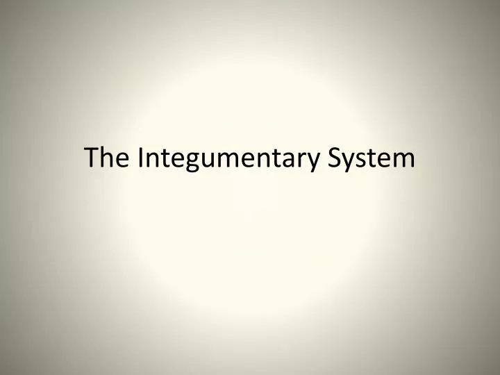 the i ntegumentary system