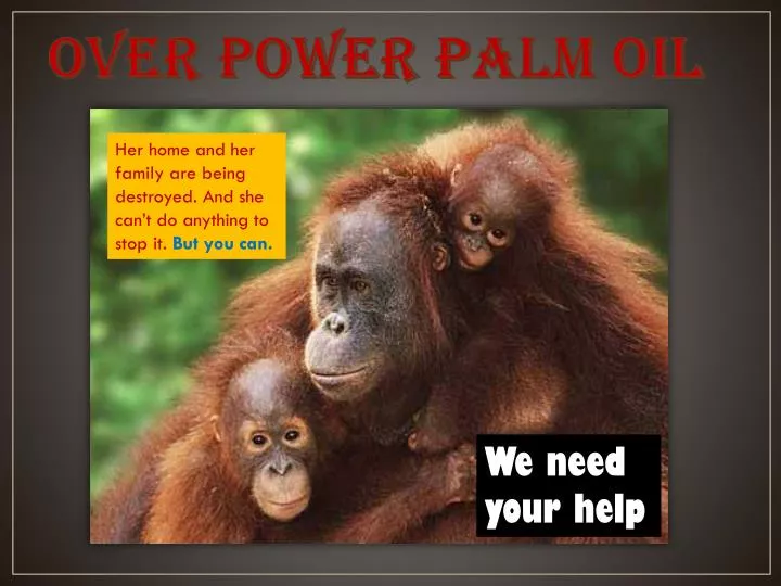 over power palm oil