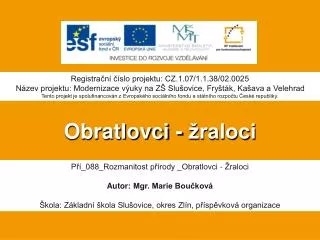 obratlovci raloci