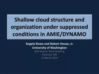 Shallow cloud structure and organization under suppressed conditions in AMIE/DYNAMO