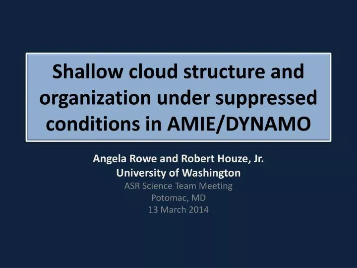 shallow cloud structure and organization under suppressed conditions in amie dynamo