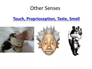 Other Senses