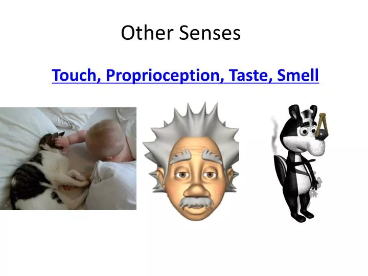 other senses