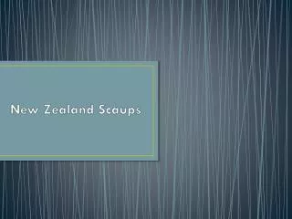 New Zealand Scaups