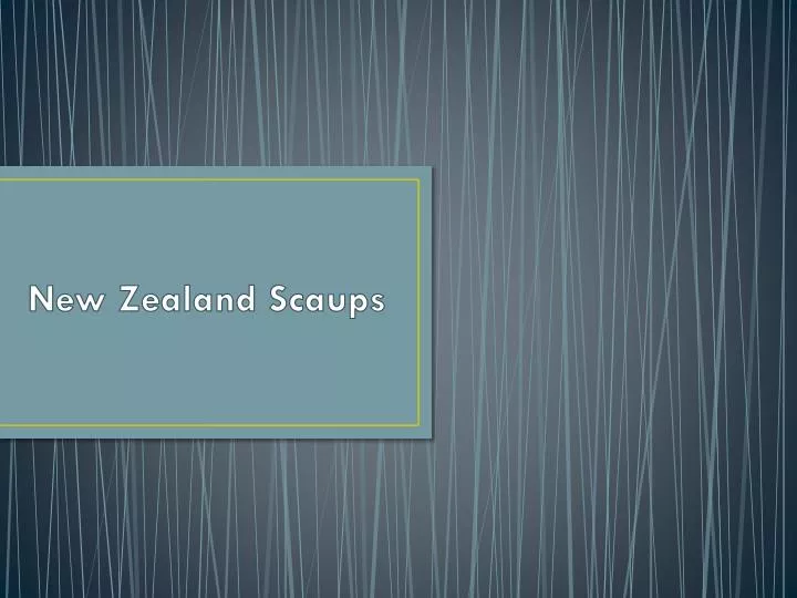 new zealand scaups