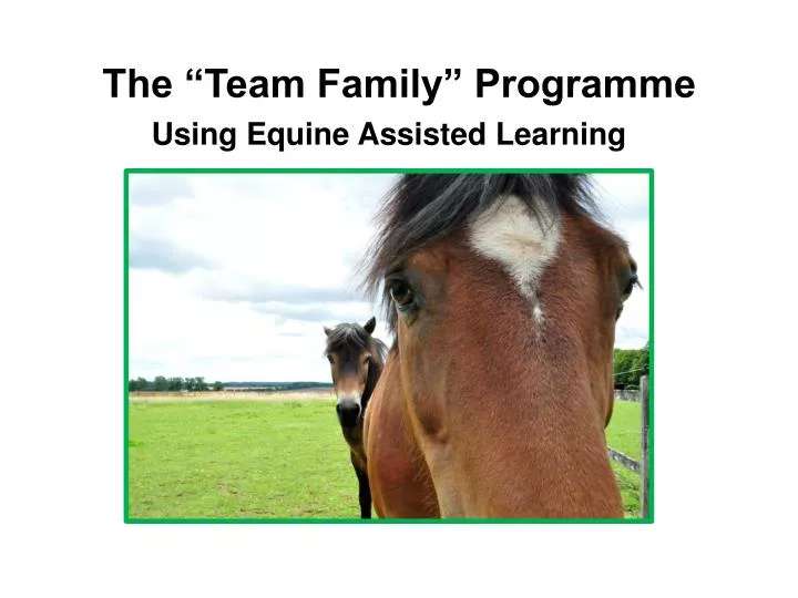 the team family programme