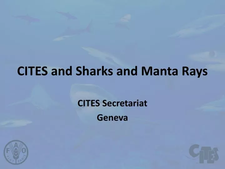 cites and sharks and manta rays