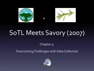 SoTL Meets Savory (2007)