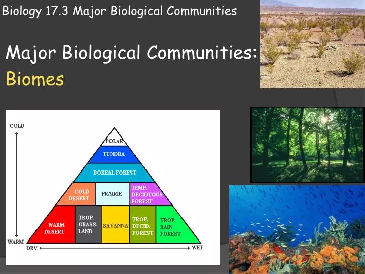 Ppt - Biology 17.3 Major Biological Communities Powerpoint Presentation 