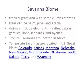 Savanna Biome