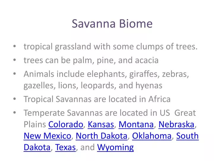 savanna biome