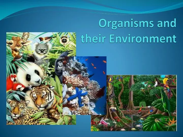 organisms and their environment