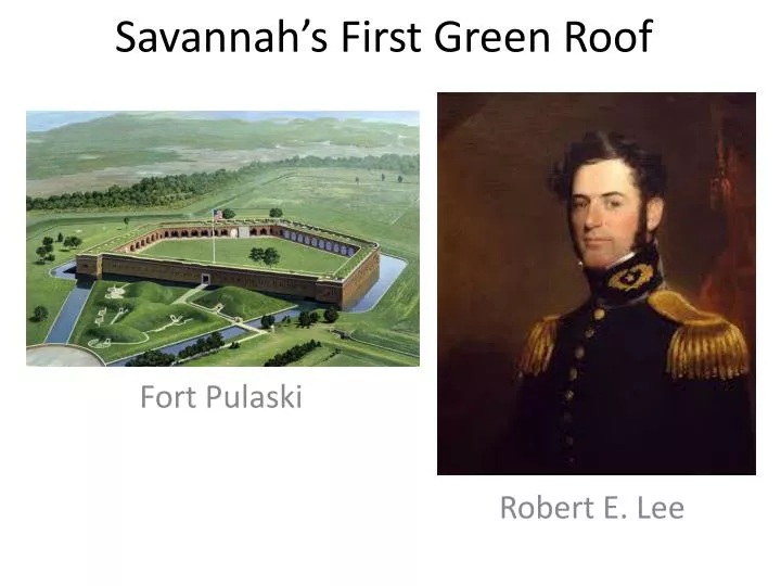savannah s first green roof