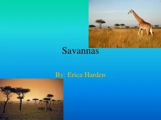 Savannas