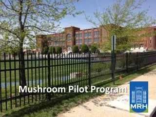 Mushroom Pilot Program