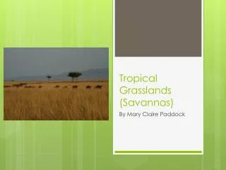 Tropical Grasslands (Savannas)