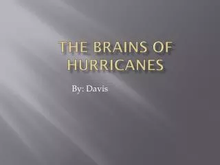 The Brains of Hurricanes