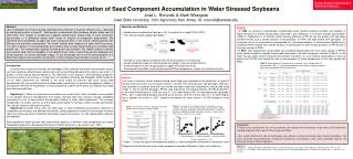 Rate and Duration of Seed Component Accumulation in Water Stressed Soybeans