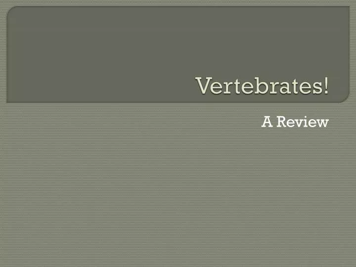 vertebrates